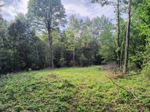 Działka leśna Smerekowiec