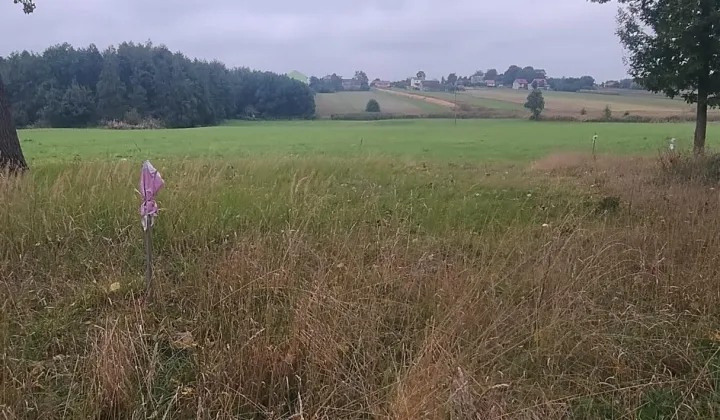 Działka rolno-budowlana Warzyn Pierwszy