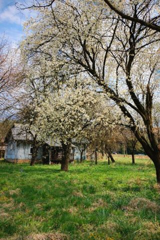 dom wolnostojący, 3 pokoje Grabownica Starzeńska. Zdjęcie 1