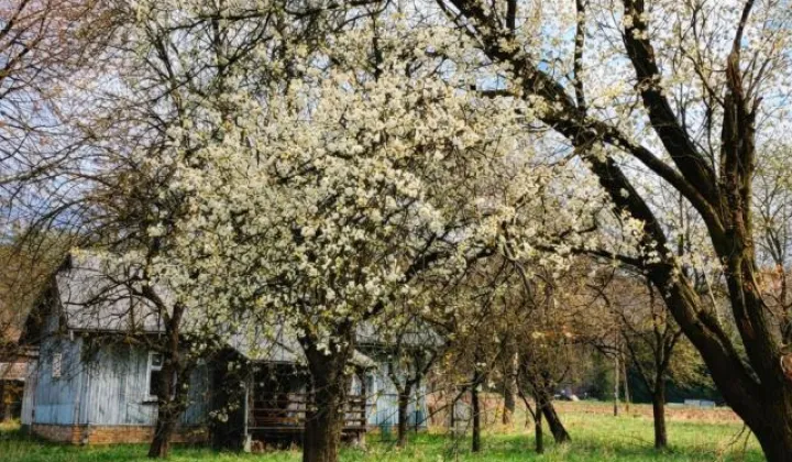 dom wolnostojący, 3 pokoje Grabownica Starzeńska