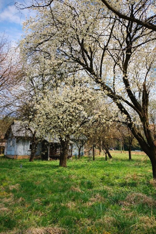 dom wolnostojący, 3 pokoje Grabownica Starzeńska. Zdjęcie 1