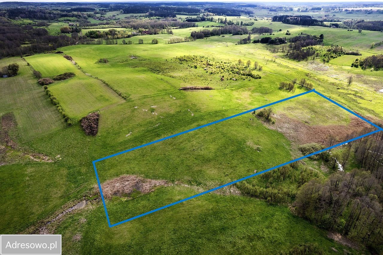 Działka rolno-budowlana Skolity. Zdjęcie 5