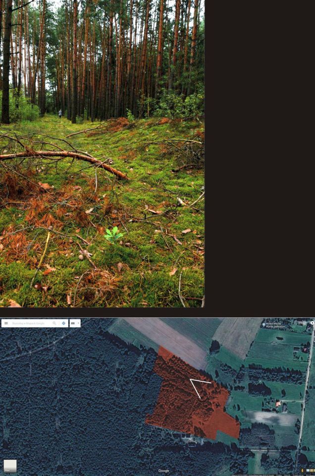 Działka budowlana Turna Duża. Zdjęcie 29