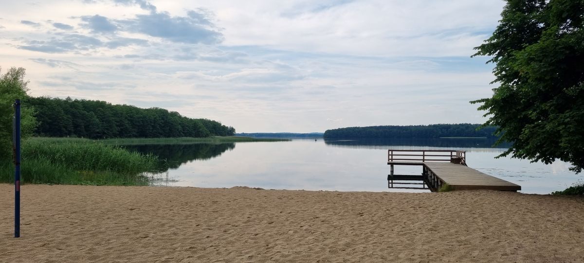 Działka leśna Jankowice