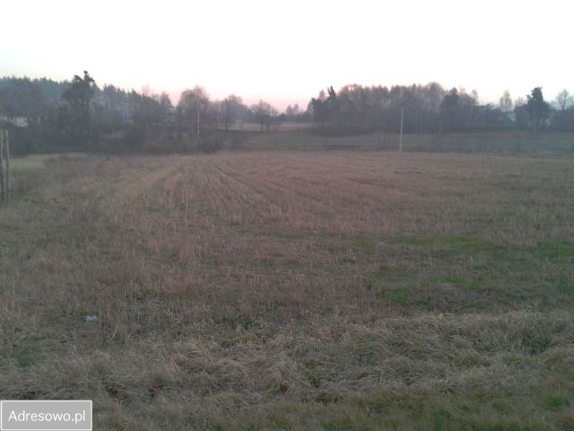 Działka budowlana Lyski, ul. Wygony. Zdjęcie 1