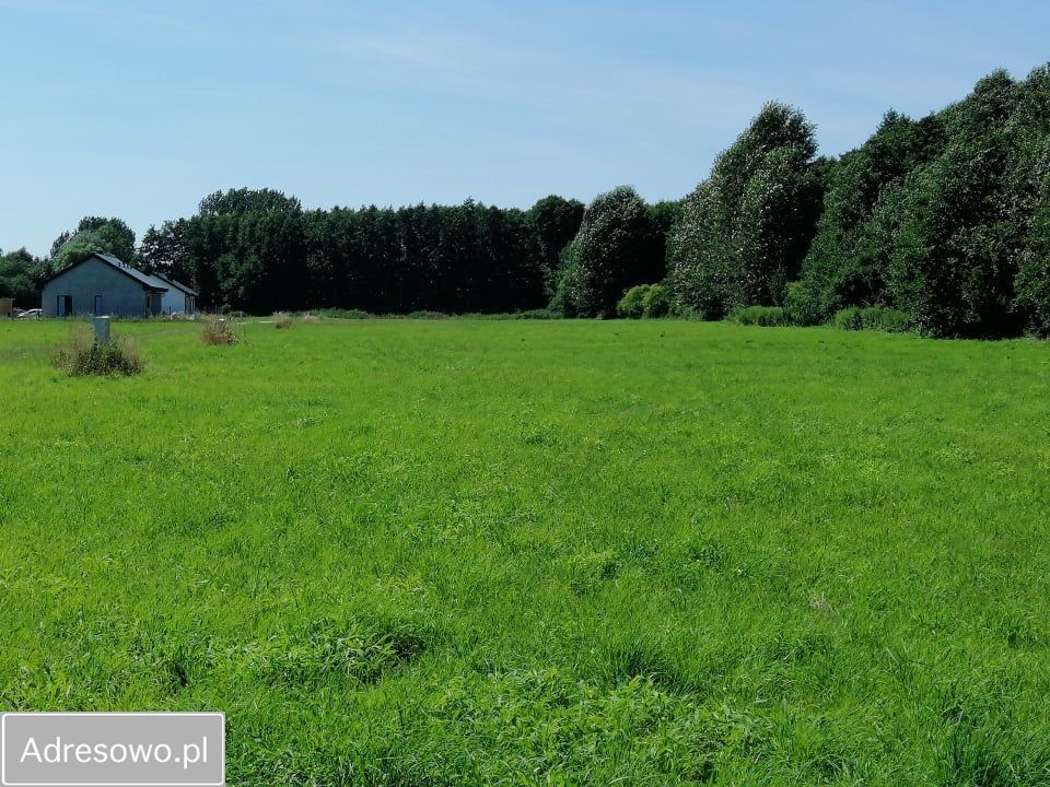 Działka budowlana Zasutowo, ul. Skrajna. Zdjęcie 2