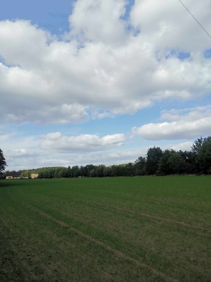 Działka budowlana Czarne. Zdjęcie 2