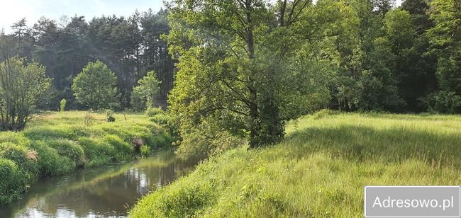 Działka rekreacyjna Ceteń. Zdjęcie 2