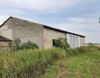 Hala/magazyn Wielka Wieś, ul. Strzelecka. Zdjęcie 1