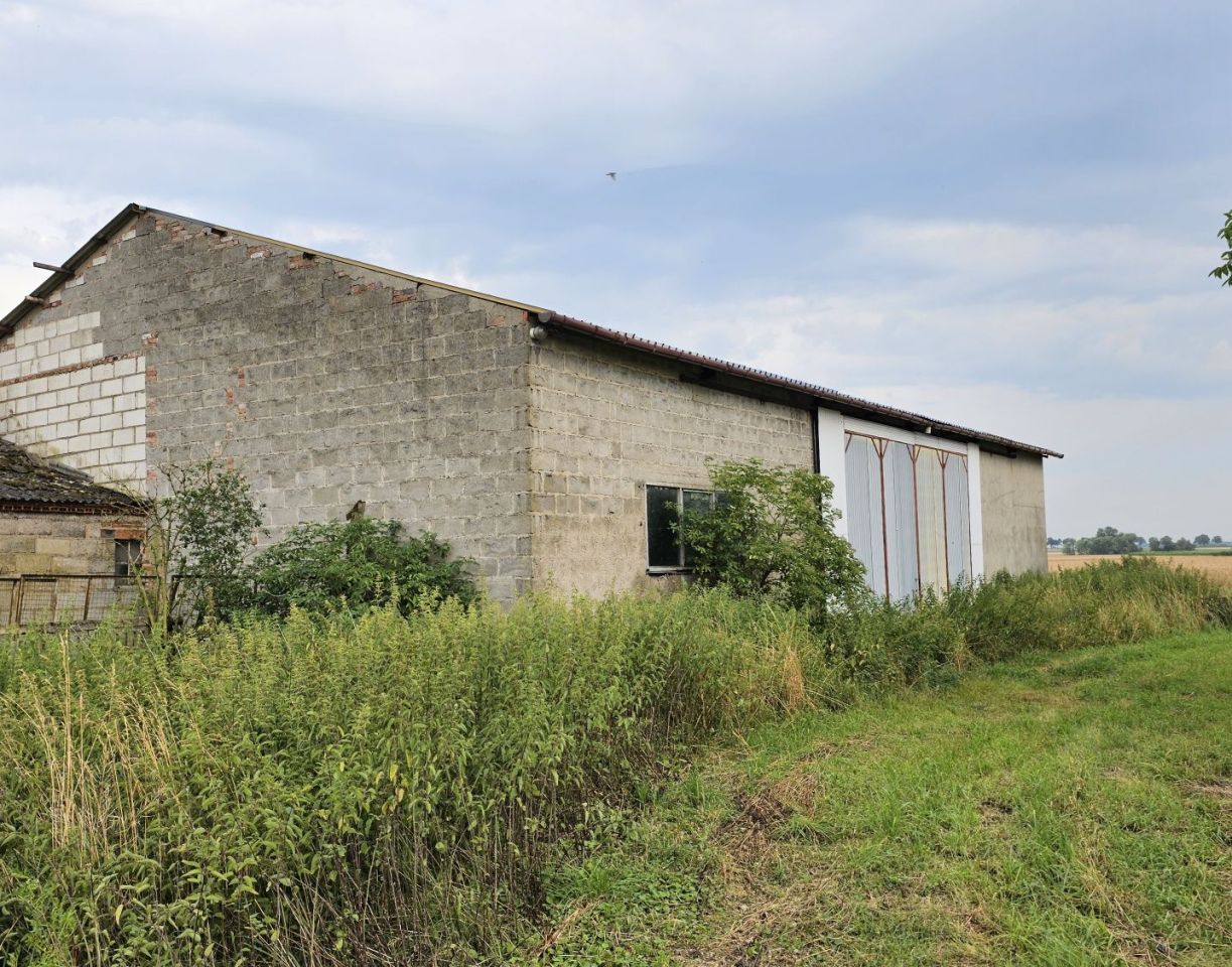 Hala/magazyn Wielka Wieś, ul. Strzelecka. Zdjęcie 2