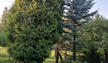 Działka rekreacyjna Szczecin Bezrzecze, ul. Waleriana Łukasińskiego 41U