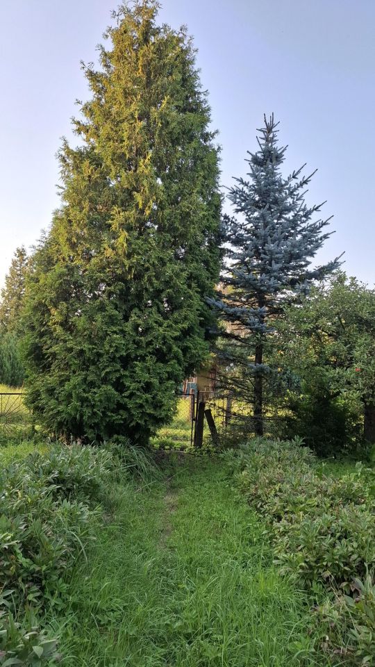 Działka rod Szczecin Bezrzecze, ul. Waleriana Łukasińskiego. Zdjęcie 3