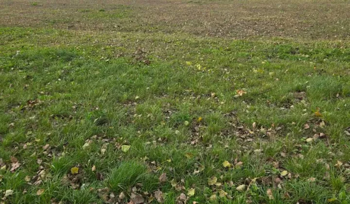 Działka budowlana Konopnica