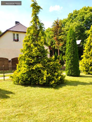 bliźniak, 2 pokoje Plękity. Zdjęcie 5