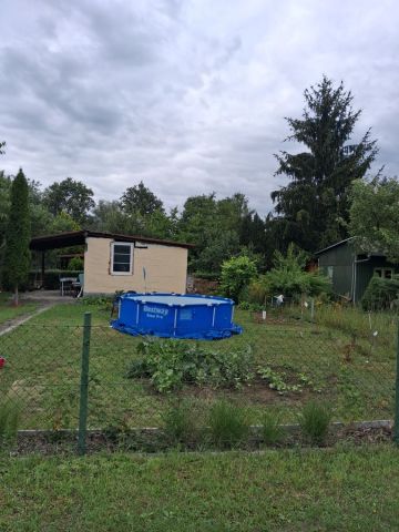 Działka rod Wrocław Psie Pole. Zdjęcie 1
