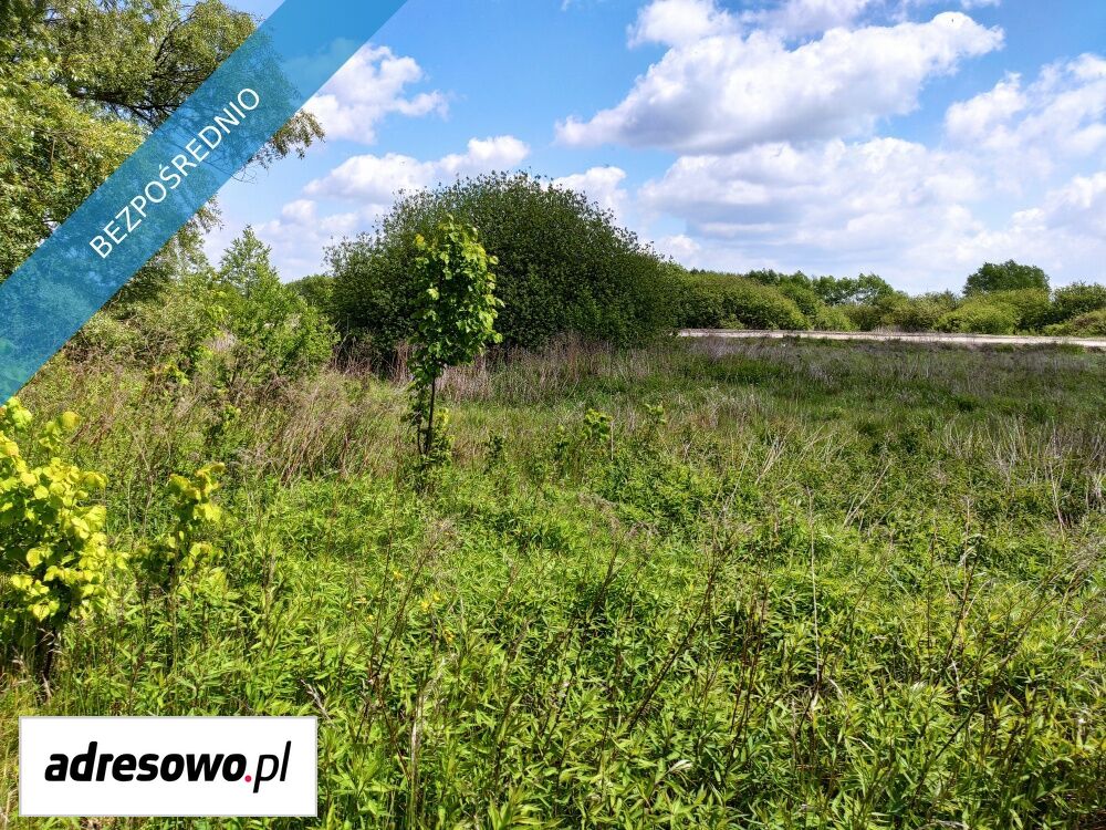 Działka budowlana Linów. Zdjęcie 10