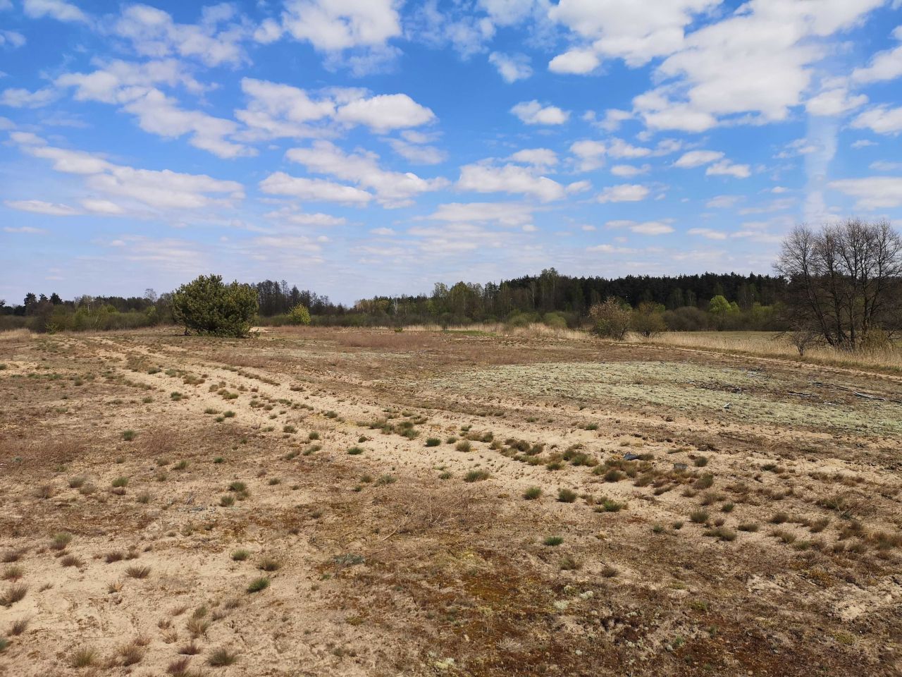 Działka rolno-budowlana Brodnica, ul. Targowa. Zdjęcie 7