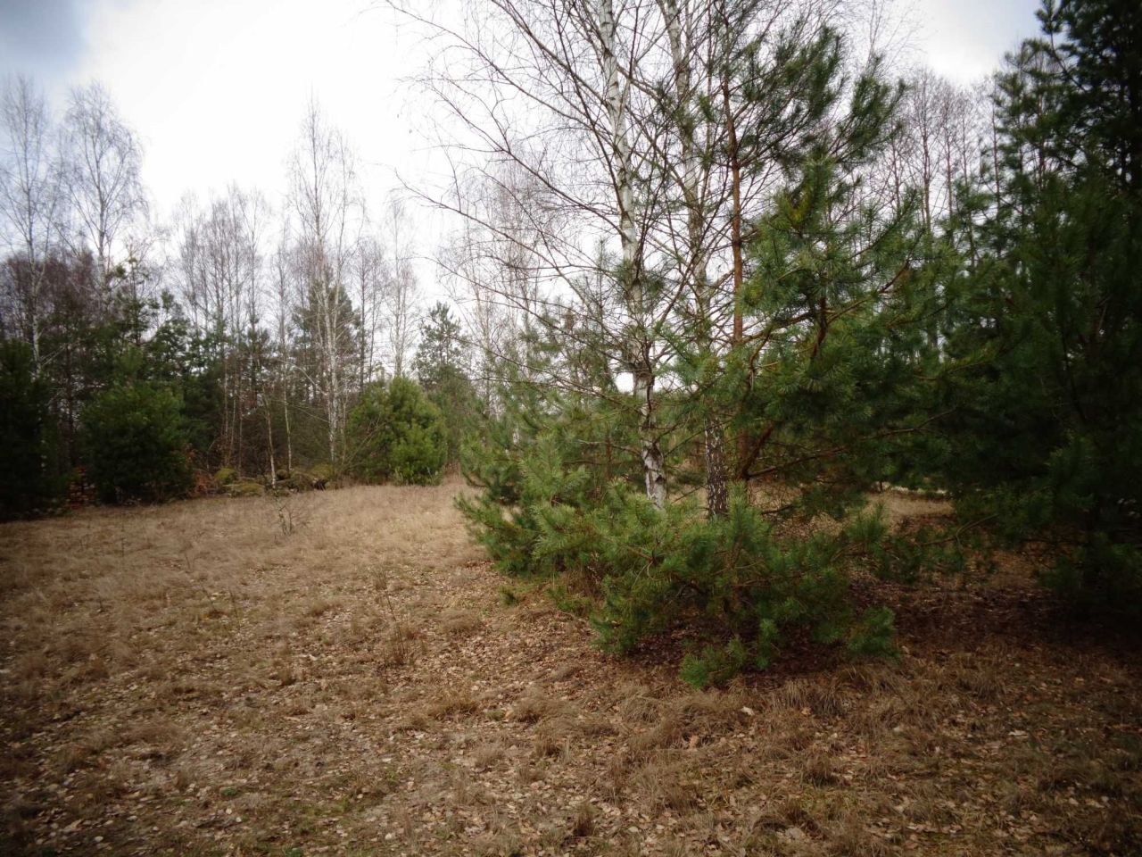 Działka budowlana Stare Polesie. Zdjęcie 3