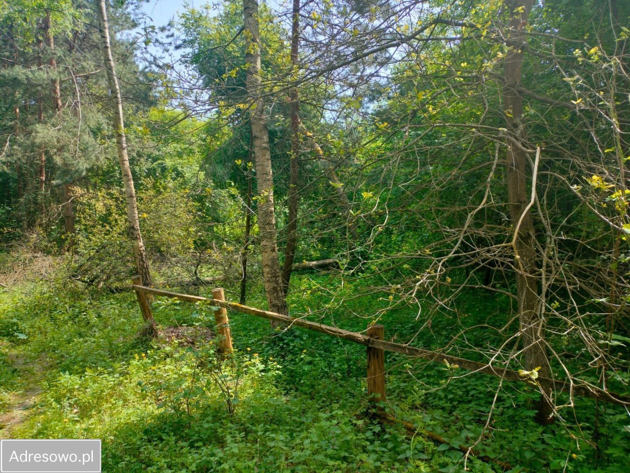 Działka rekreacyjna Nadkole. Zdjęcie 9
