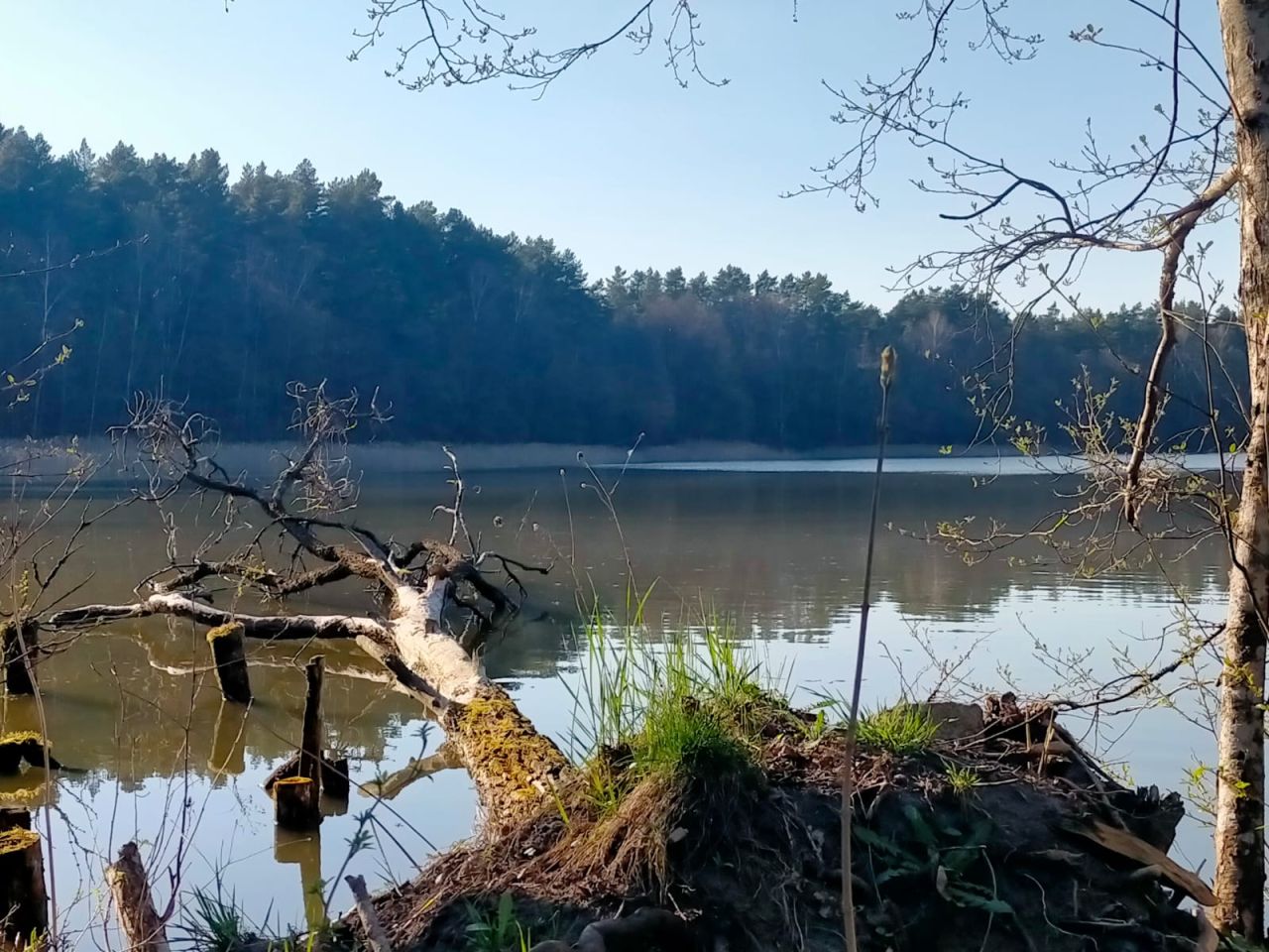 Działka budowlana Barnowiec. Zdjęcie 4