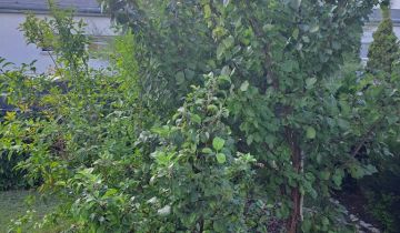 Mieszkanie 2-pokojowe Września