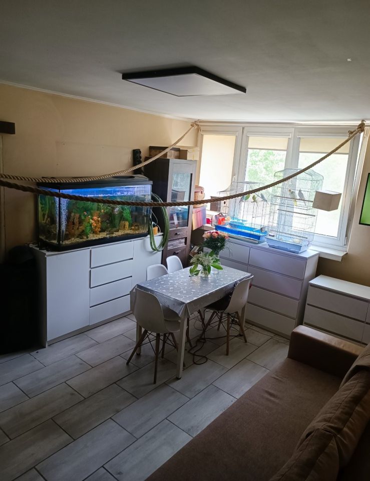 Mieszkanie 2-pokojowe Łódź Księży Młyn, ul. Wilcza. Zdjęcie 2