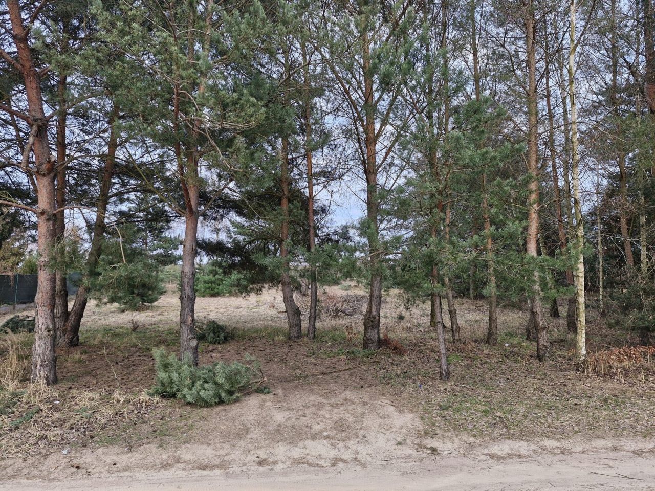 Działka budowlana Laski Małe. Zdjęcie 4