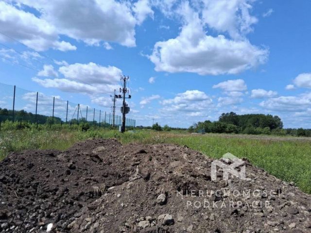 Hala/magazyn Tuszów Narodowy. Zdjęcie 4