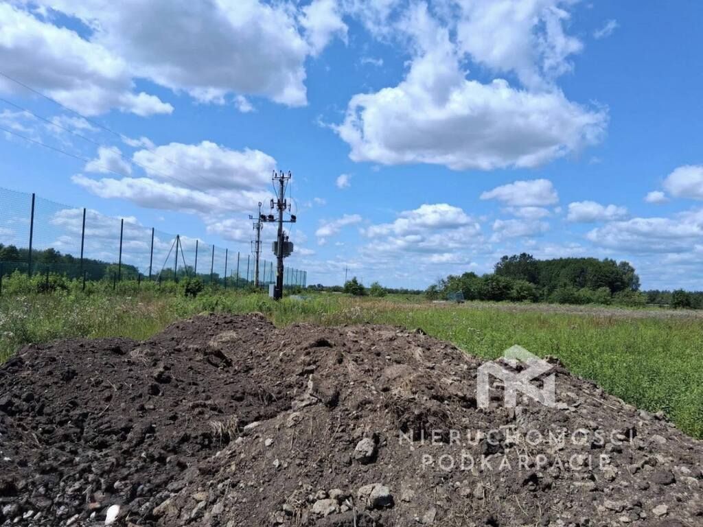Hala/magazyn Tuszów Narodowy. Zdjęcie 4
