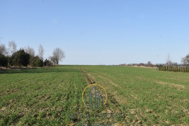 Działka Kunów. Zdjęcie 2