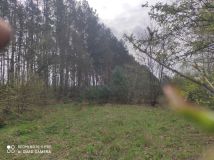 Działka budowlana Lubieniek. Zdjęcie 2