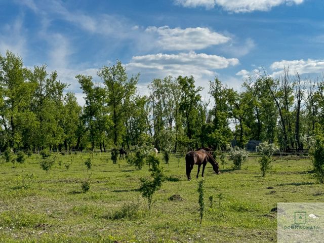 dom wolnostojący, 8 pokoi Podłęcze. Zdjęcie 30