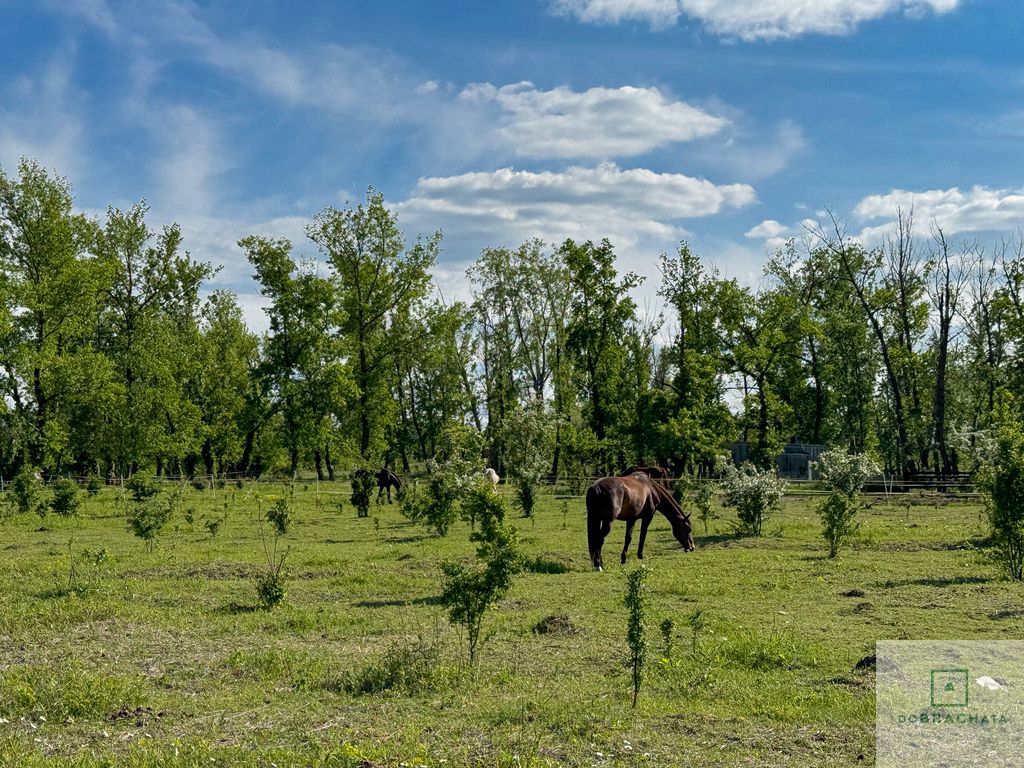 dom wolnostojący, 8 pokoi Podłęcze. Zdjęcie 30