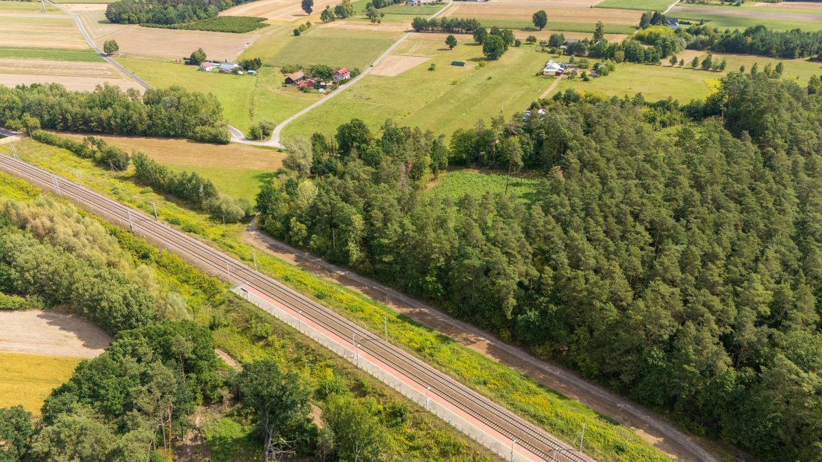 Działka budowlana Psucin, ul. Leśna. Zdjęcie 9