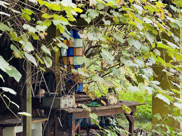 dom wolnostojący, 5 pokoi Wólka Jagielczyńska. Zdjęcie 7