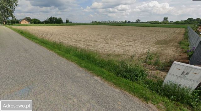 Działka rolna Nowy Łuszczewek. Zdjęcie 1