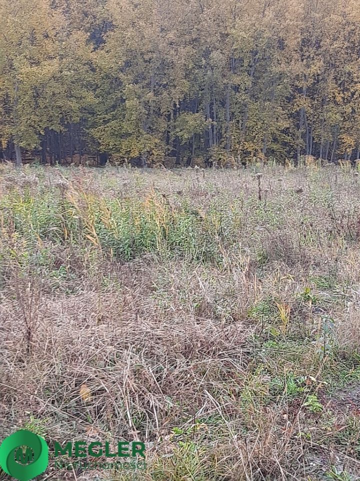 Działka budowlana Rusiec. Zdjęcie 6