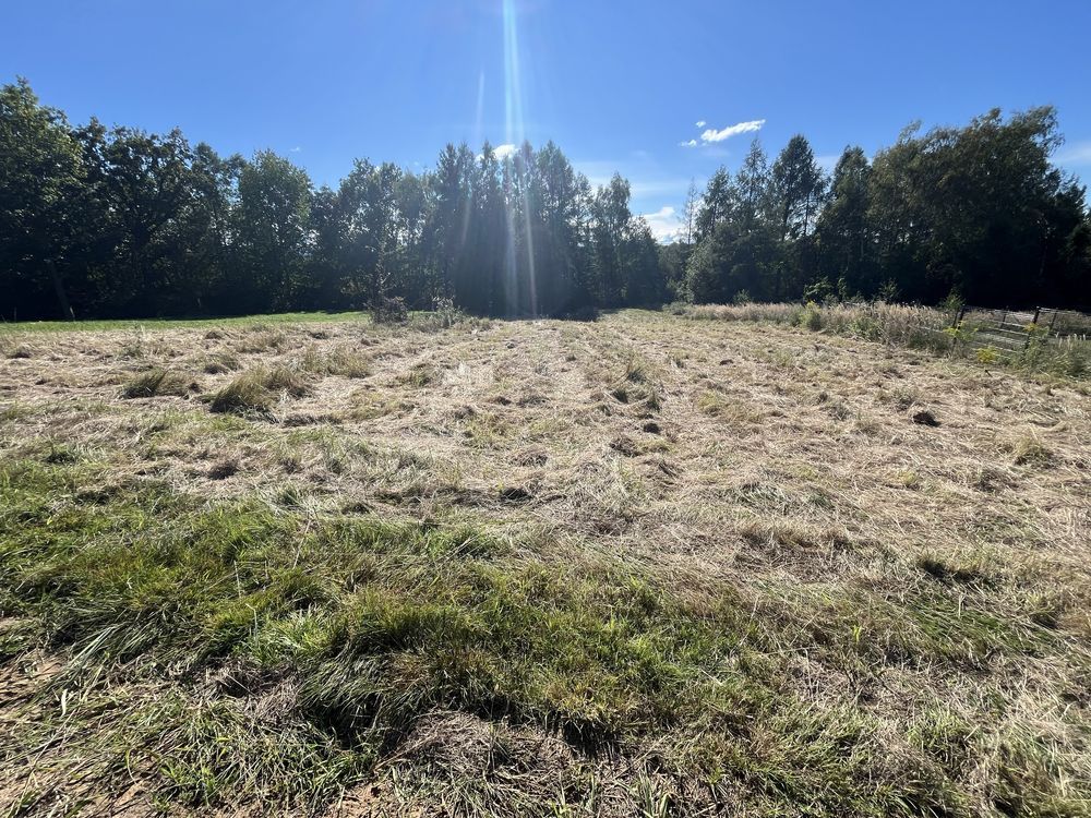 Działka budowlana Woźniki. Zdjęcie 3