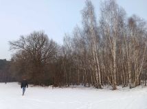 Działka rolna Bieliny. Zdjęcie 2