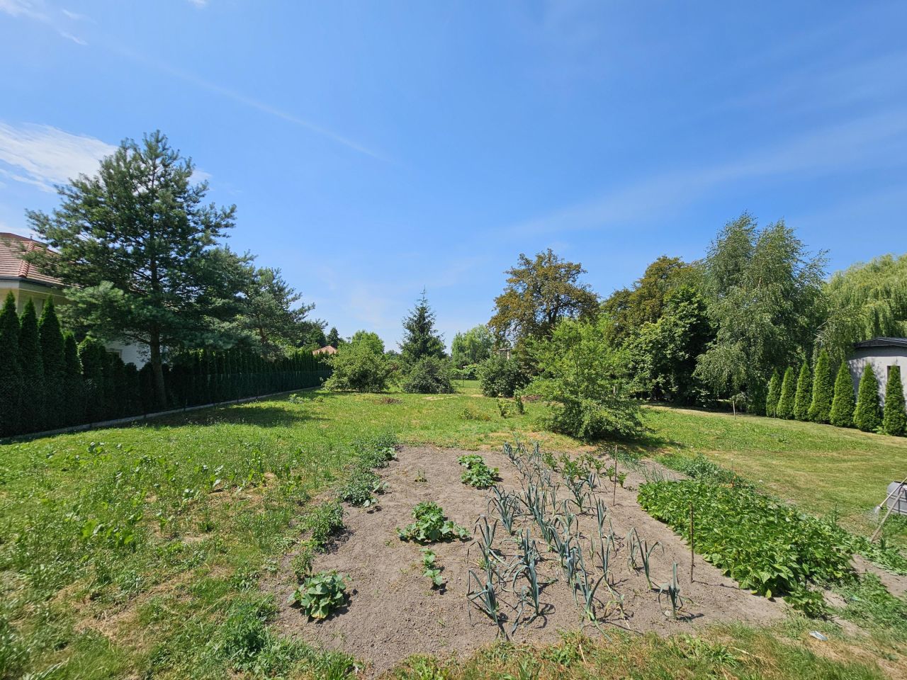 Działka budowlana Lewków, ul. Powstańców Wielkopolskich. Zdjęcie 6