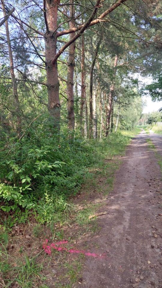 Działka budowlana Miłosławice. Zdjęcie 4