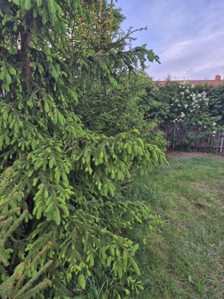 dom wolnostojący, 3 pokoje Grotniki, ul. Marszałkowska. Zdjęcie 10