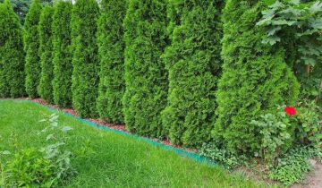 Działka rod Szamotuły