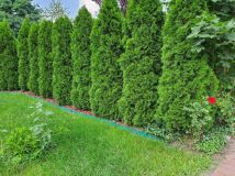 Działka rod Szamotuły. Zdjęcie 1