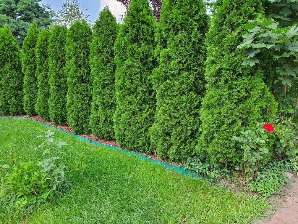 Działka rod Szamotuły. Zdjęcie 2