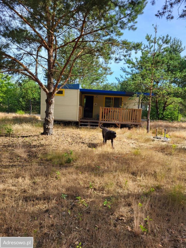 Działka budowlana Adampol, ul. Spacerowa. Zdjęcie 3