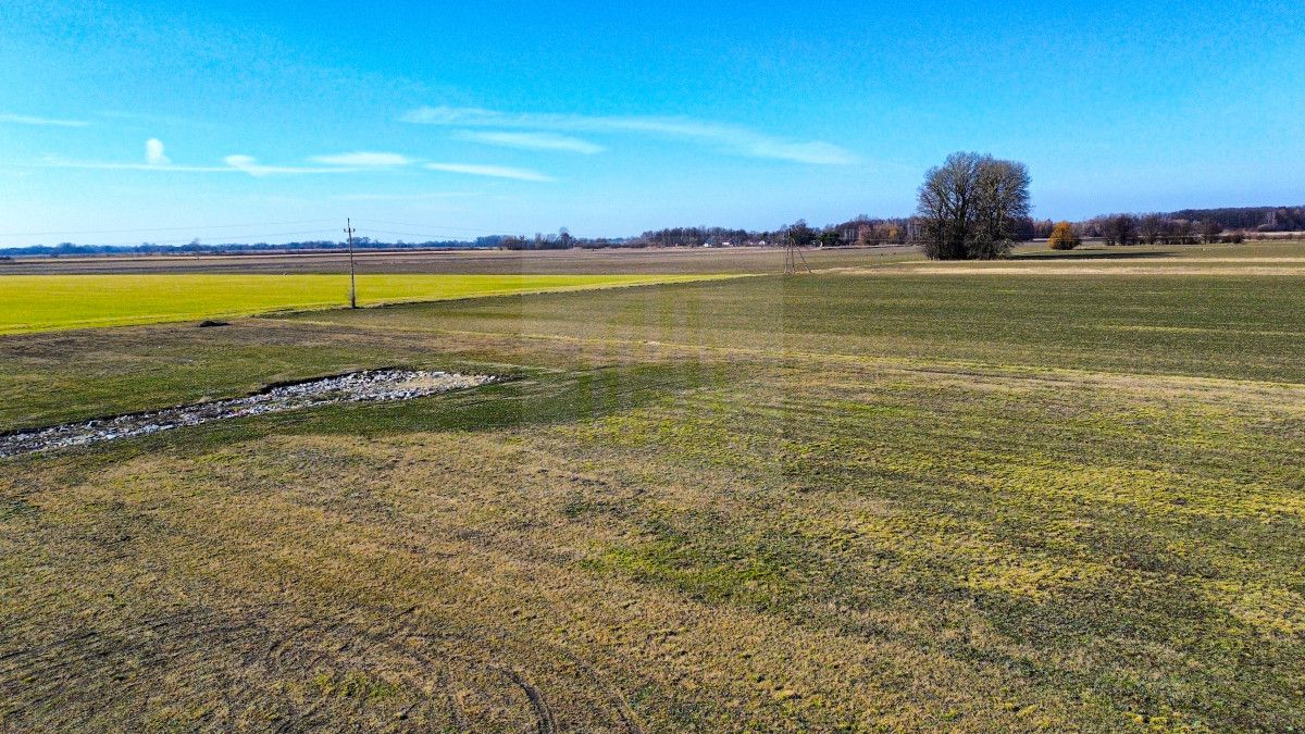 Działka budowlana Chyliczki, ul. Anny Jagiellonki. Zdjęcie 8