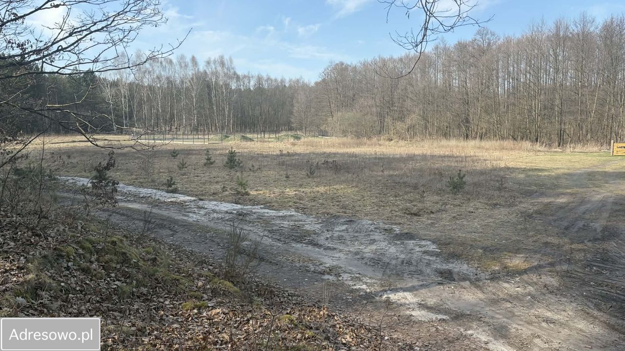 Działka rekreacyjna Borowy Młyn. Zdjęcie 15