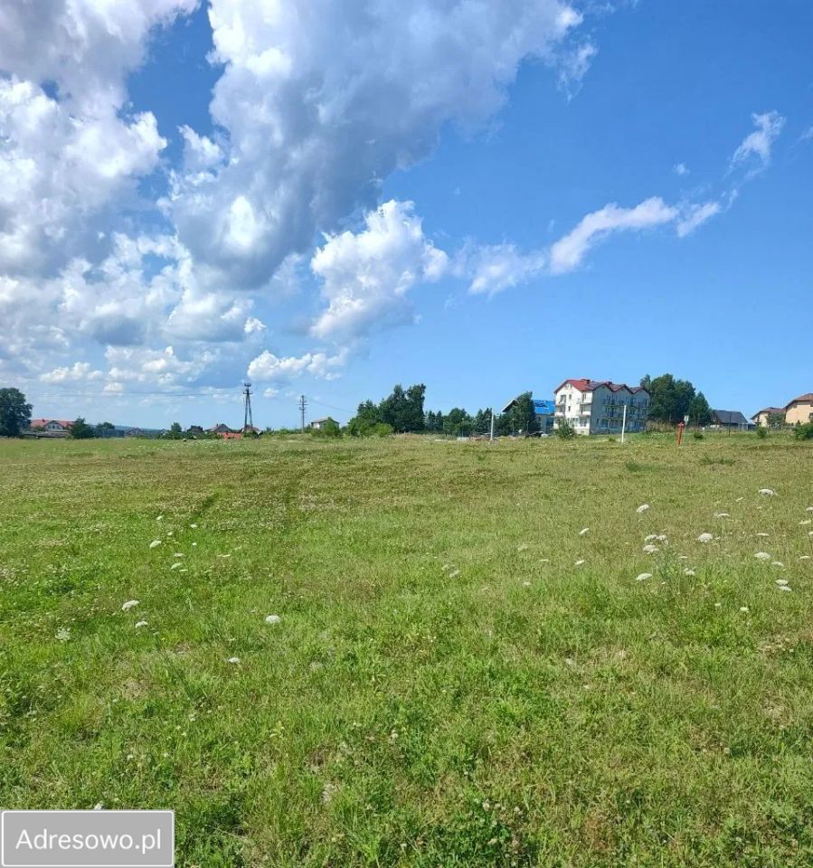 Działka budowlana Jastrzębia Góra. Zdjęcie 8
