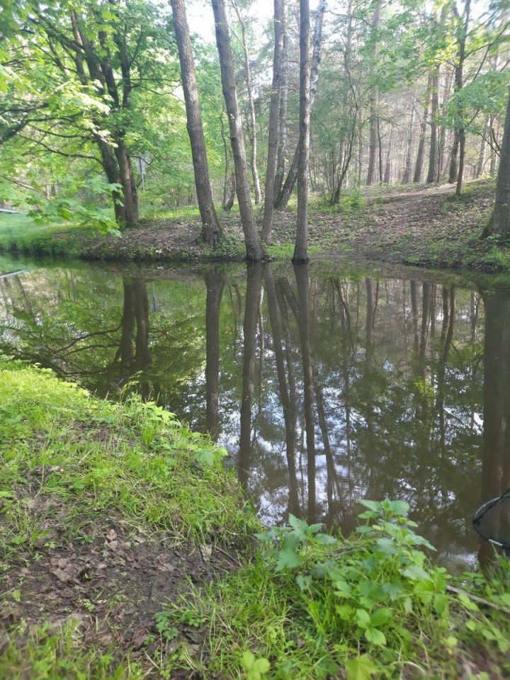 Działka budowlana Grzybowo. Zdjęcie 1